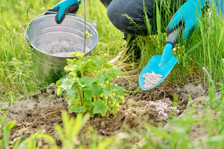 Voici comment préparer votre jardin pour l’hiver