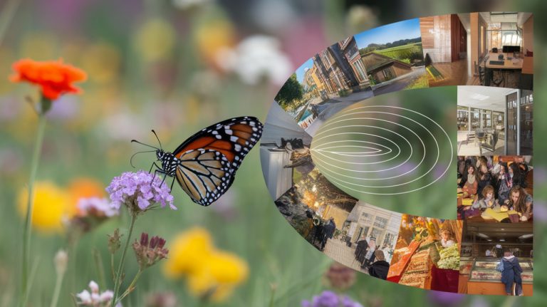 L'effet papillon au quotidien : 7 exemples concrets qui vont vous surprendre