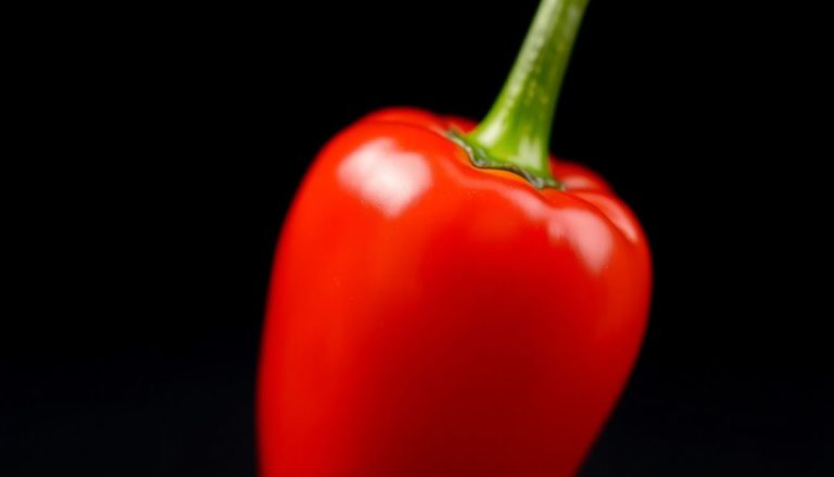 Habanero : le piment qui enflamme les papilles et fait pleurer les plus courageux