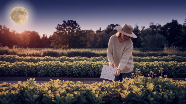 Jardiner avec la lune en mai : calendrier et conseils pour des récoltes abondantes