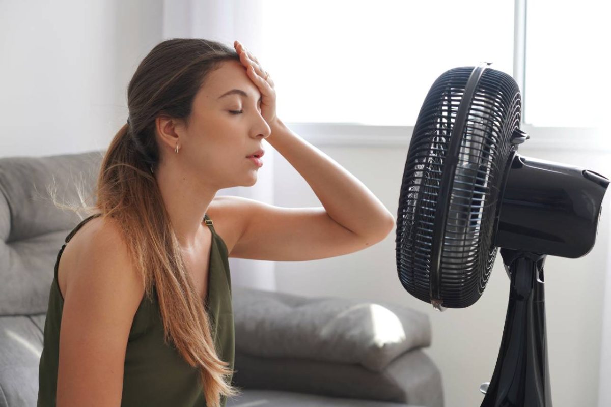 chaleur ventilateur