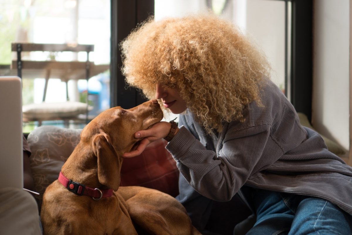 Test de personnalité : votre chien préféré révèle un caractère caché encore inavoué