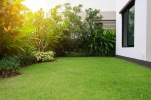 Haies, arbres, bruit… ces 8 points de votre jardin peuvent vite devenir un problème avec vos voisins