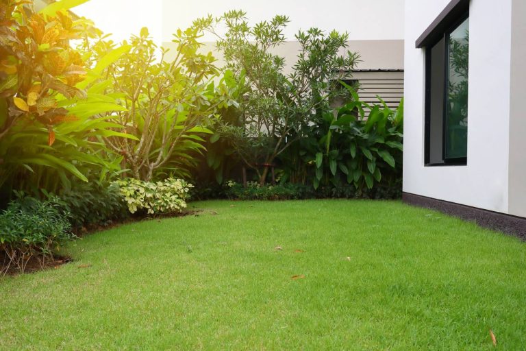 jardin